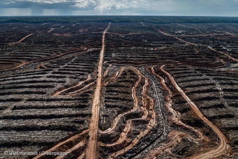 Solusi Lingkungan untuk Cegah Banjir Berulang di Kawasan Rawan Indonesia