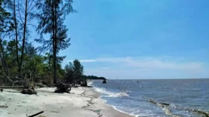 Sekda Sergai Tegaskan Pentingnya Pelestarian Lingkungan: Saatnya Kita Mulai dari Diri Sendiri!