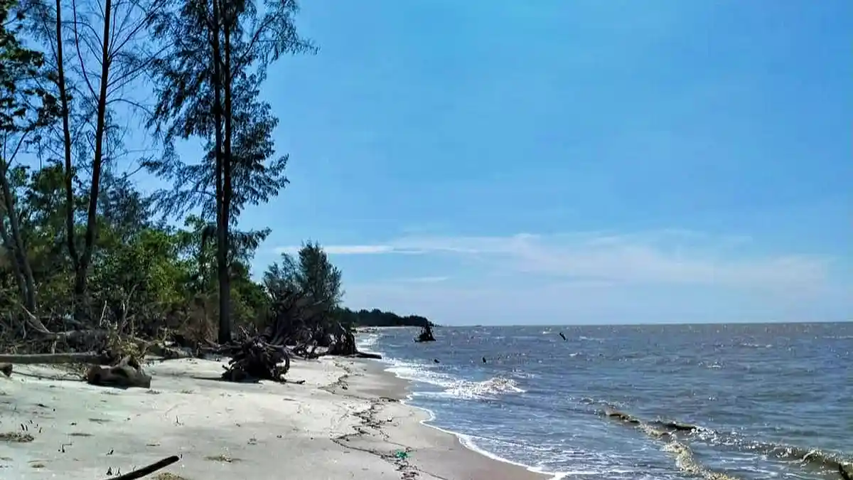 Sekda Sergai Tegaskan Pentingnya Pelestarian Lingkungan: Saatnya Kita Mulai dari Diri Sendiri!